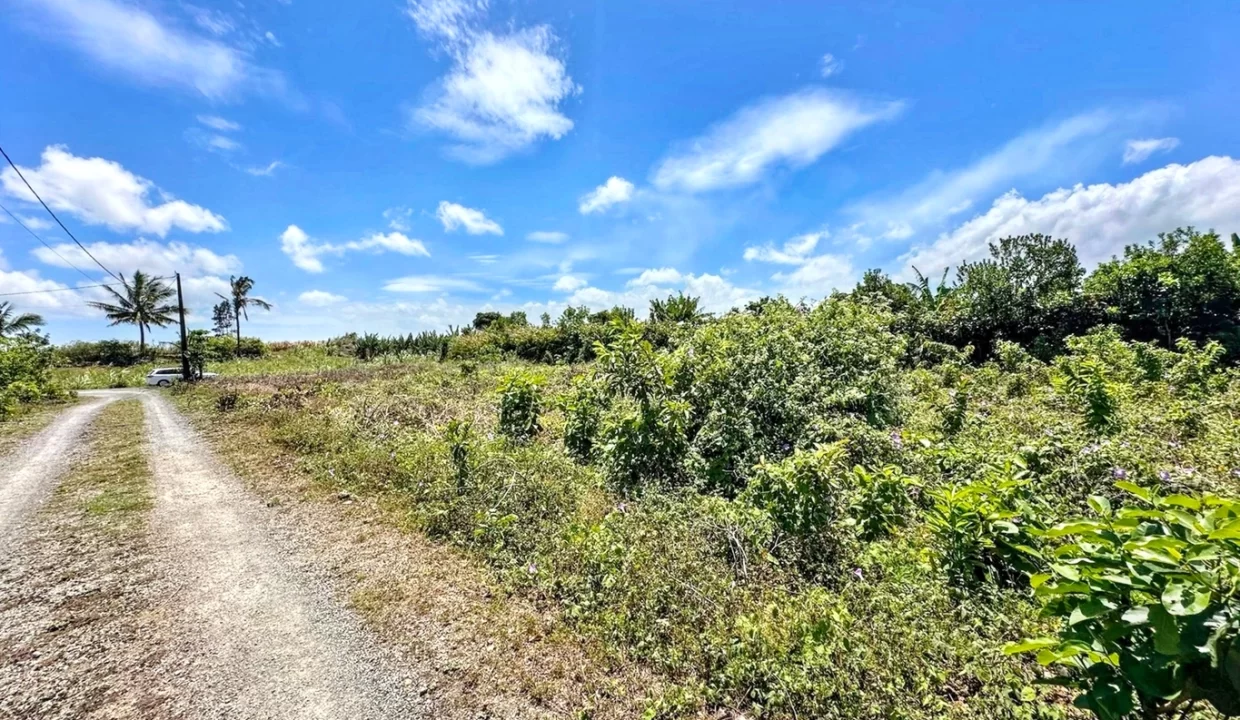 FOR SALE — RESIDENTIAL LAND — MARE D’ALBERT 1