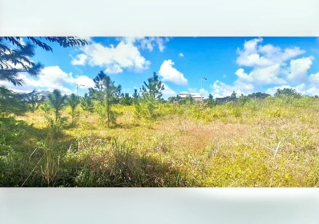 Land for Sale at Morcellement Aurea (Bois de Chandelle) with River Reserve 11