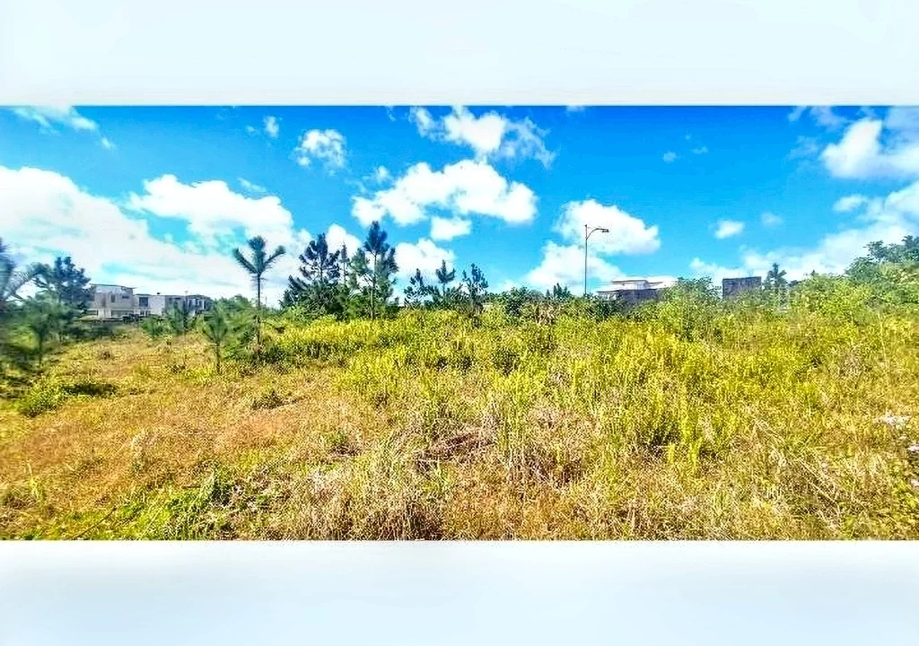 Land for Sale at Morcellement Aurea (Bois de Chandelle) with River Reserve 12