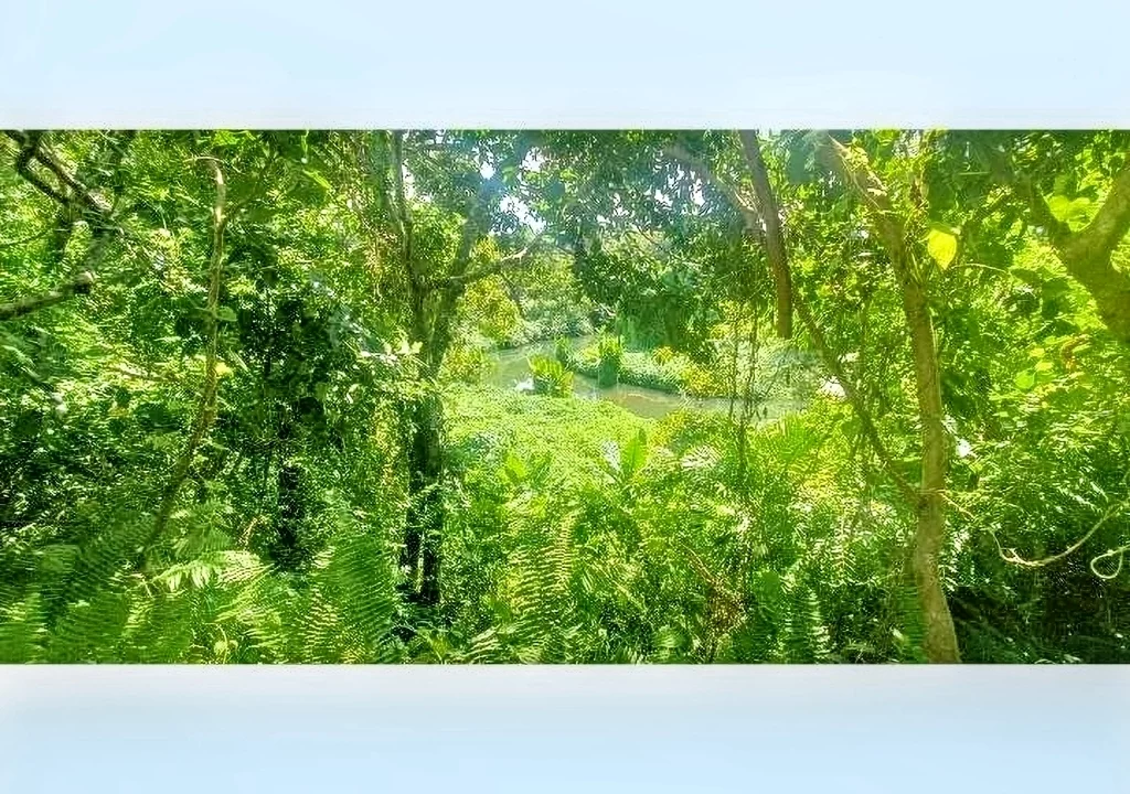 Land for Sale at Morcellement Aurea (Bois de Chandelle) with River Reserve 2