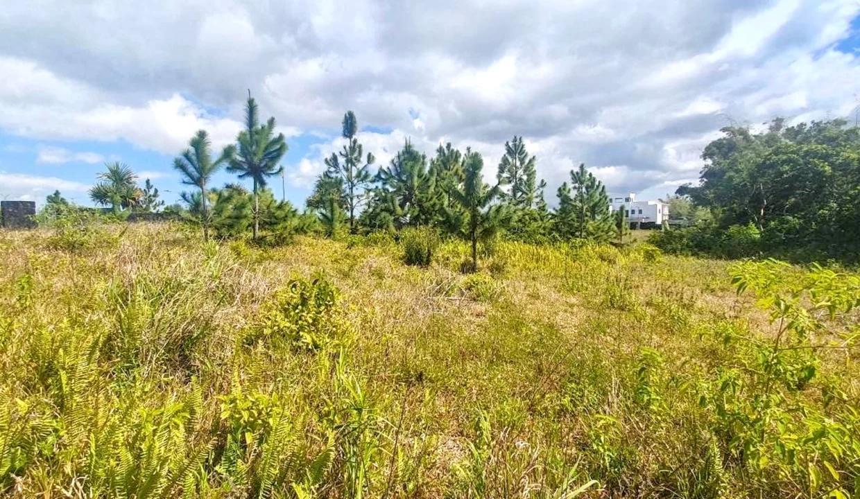 Land for Sale at Morcellement Aurea (Bois de Chandelle) with River Reserve 4