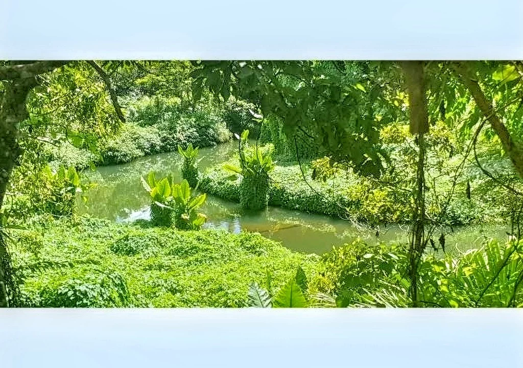 Land for Sale at Morcellement Aurea (Bois de Chandelle) with River Reserve 5