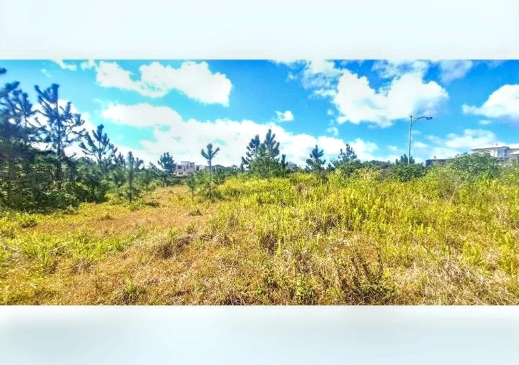 Land for Sale at Morcellement Aurea (Bois de Chandelle) with River Reserve 9