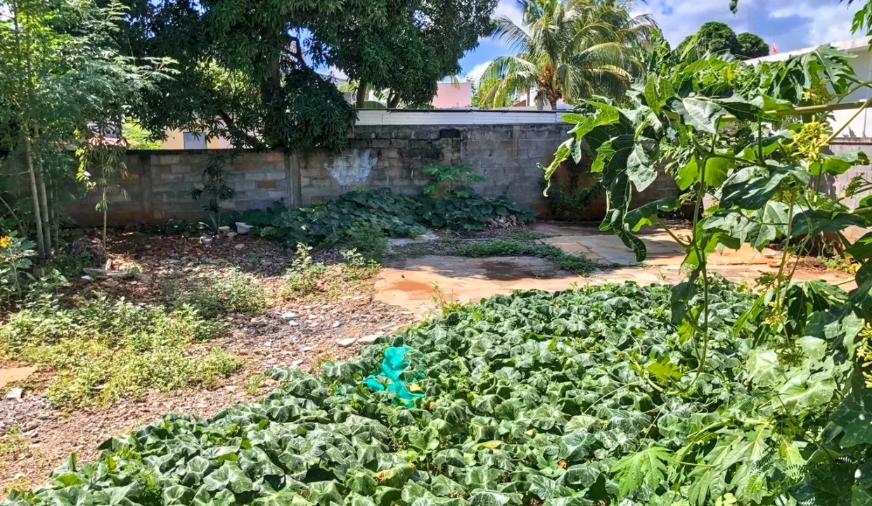 Sale of 3 Lots – House in Co-ownership + Fully Fenced Land in Cassis, Port louis 1
