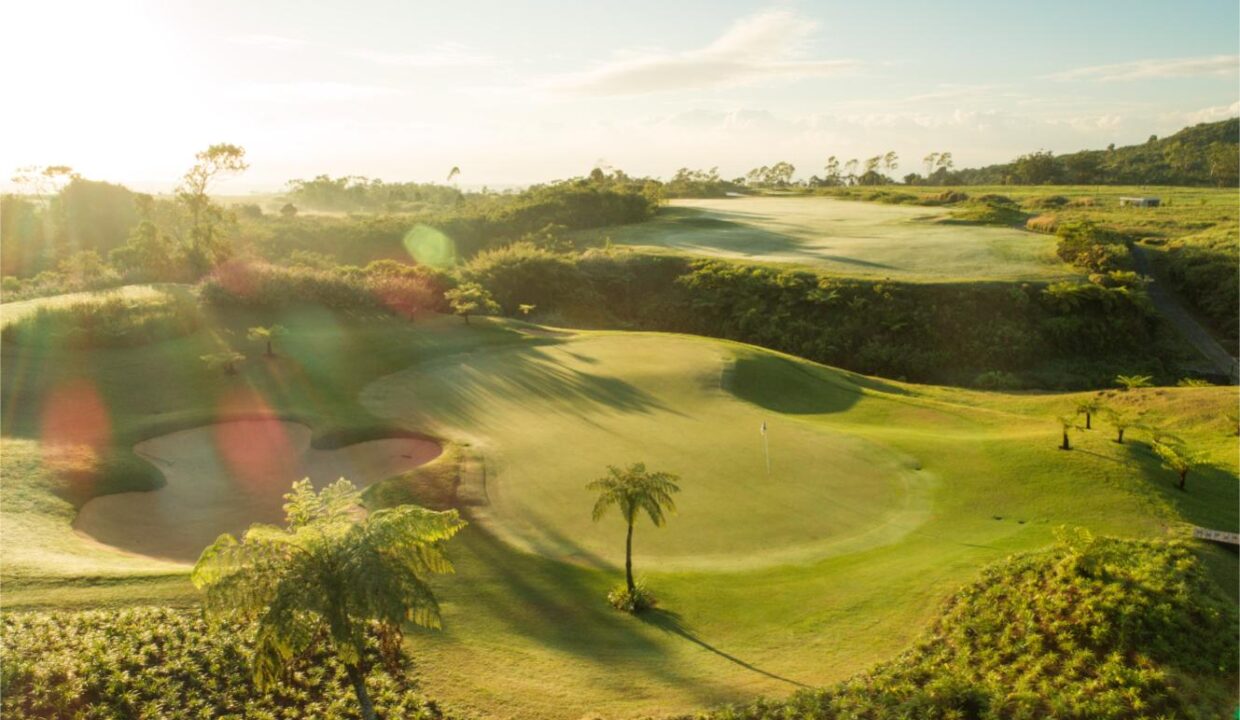 Avalon December 2018 #13 Green 2