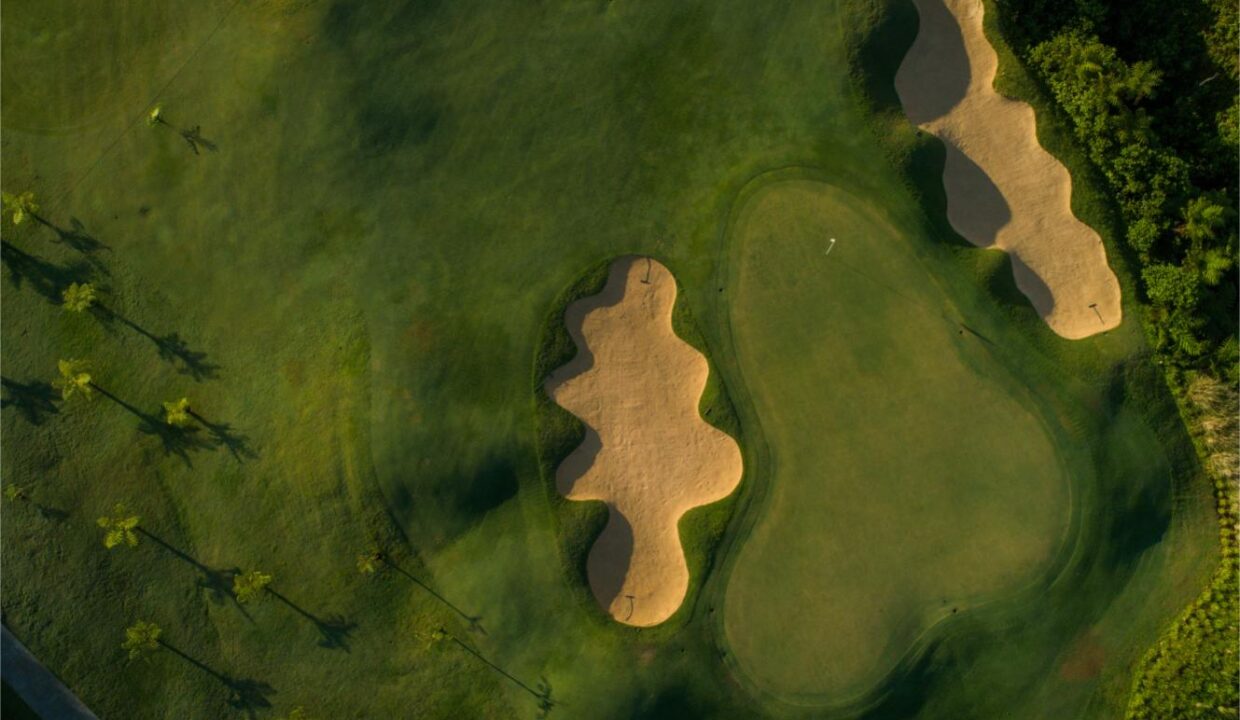 Avalon December 2018 #16 Green 1