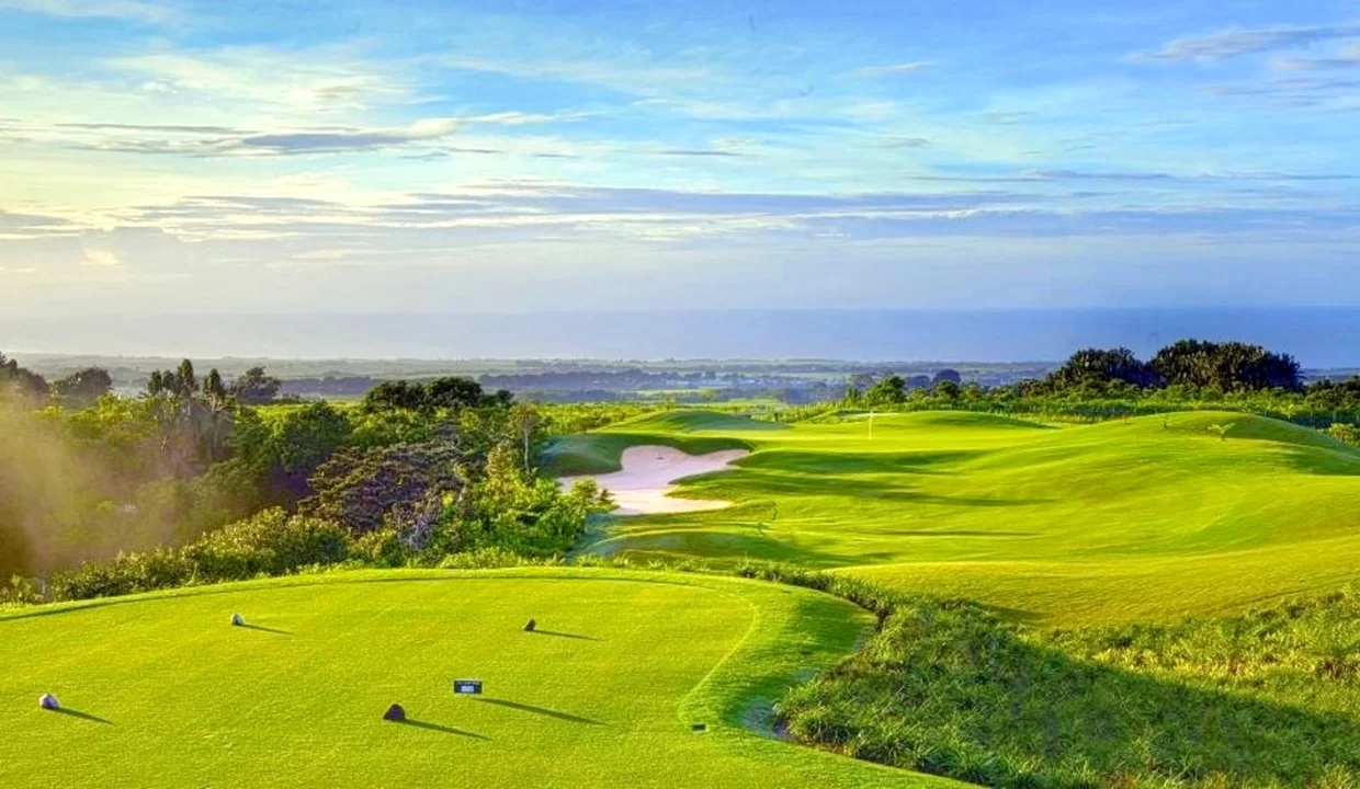 FOR SALE – 25 Residential Land in Avalon Golf Estate, Bois Chéri 14