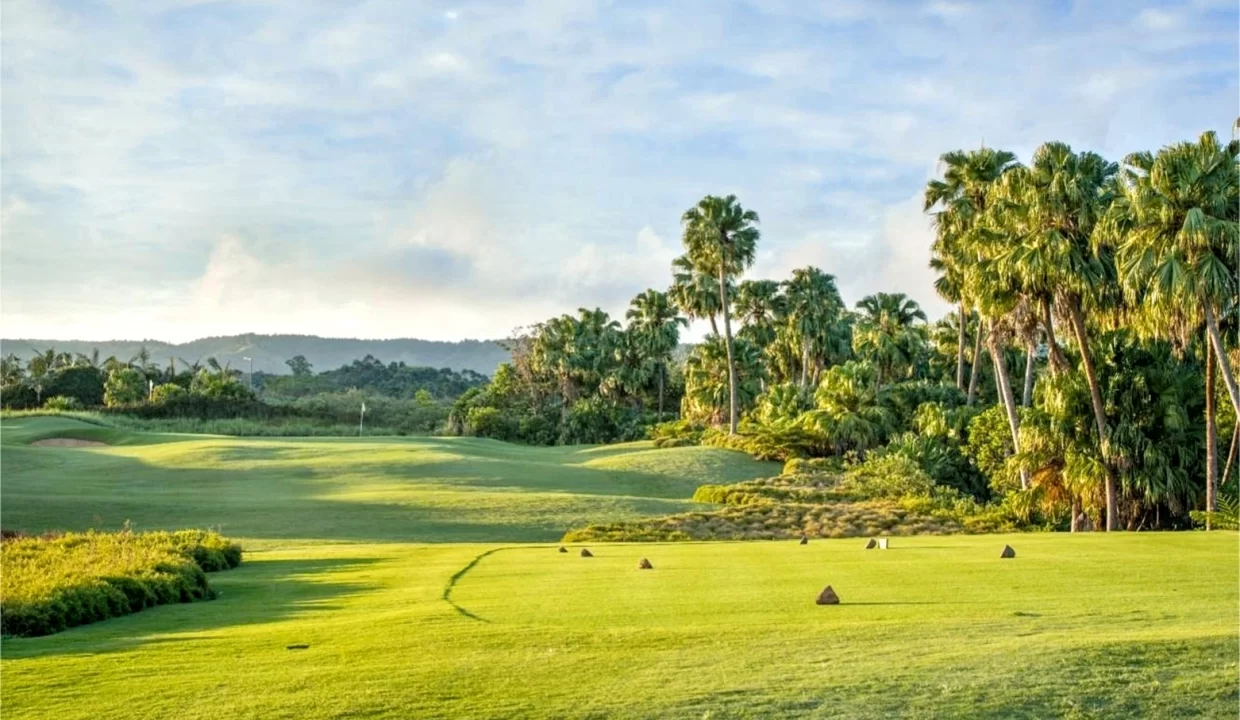 FOR SALE – 25 Residential Land in Avalon Golf Estate, Bois Chéri 2