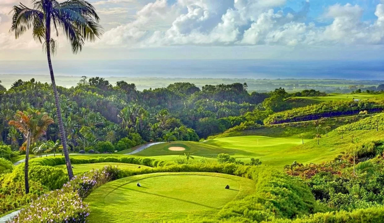 FOR SALE – 25 Residential Land in Avalon Golf Estate, Bois Chéri 4