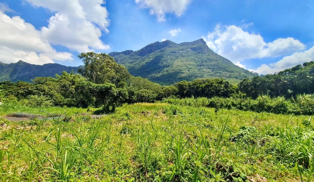 Land For Sale in Chantenay, Moka 1