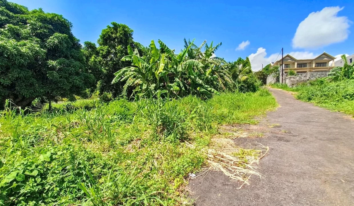 Land For Sale in Chantenay, Moka 12
