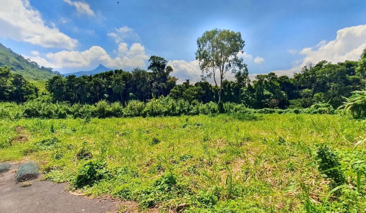 Land For Sale in Chantenay, Moka 13