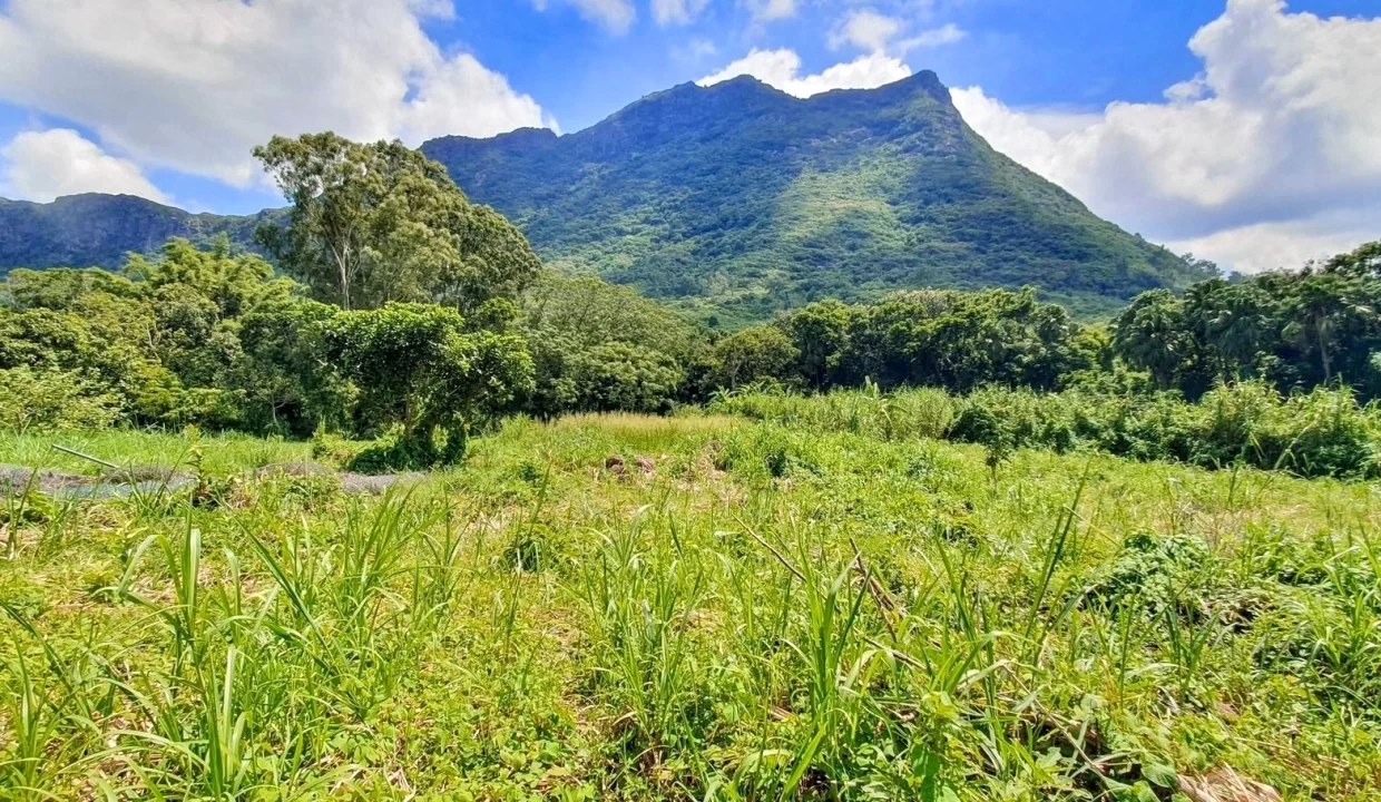 Land For Sale in Chantenay, Moka 14