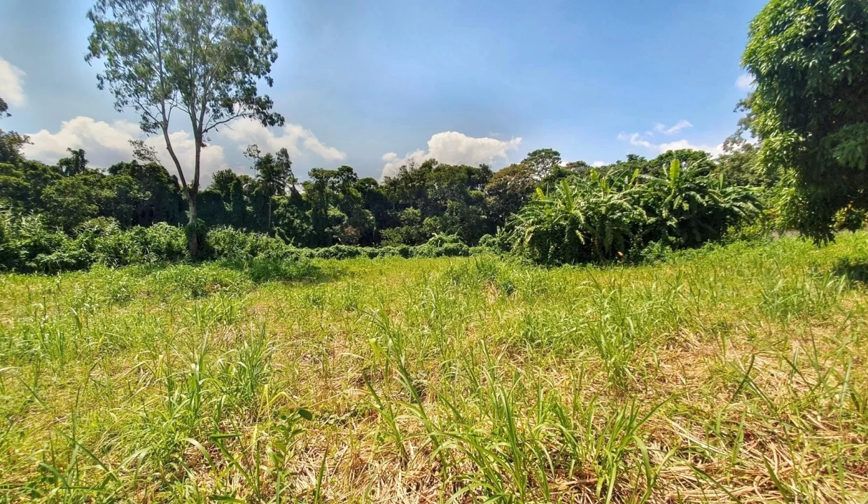 Land For Sale in Chantenay, Moka 15