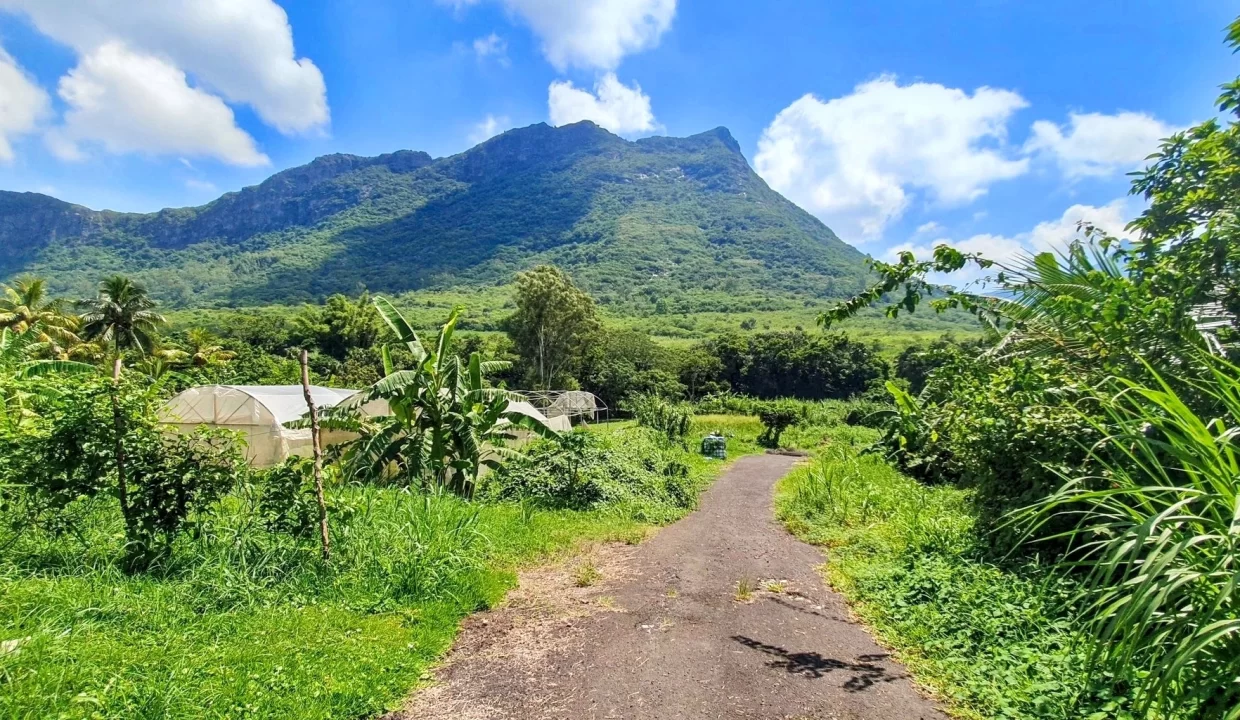 Land For Sale in Chantenay, Moka 17