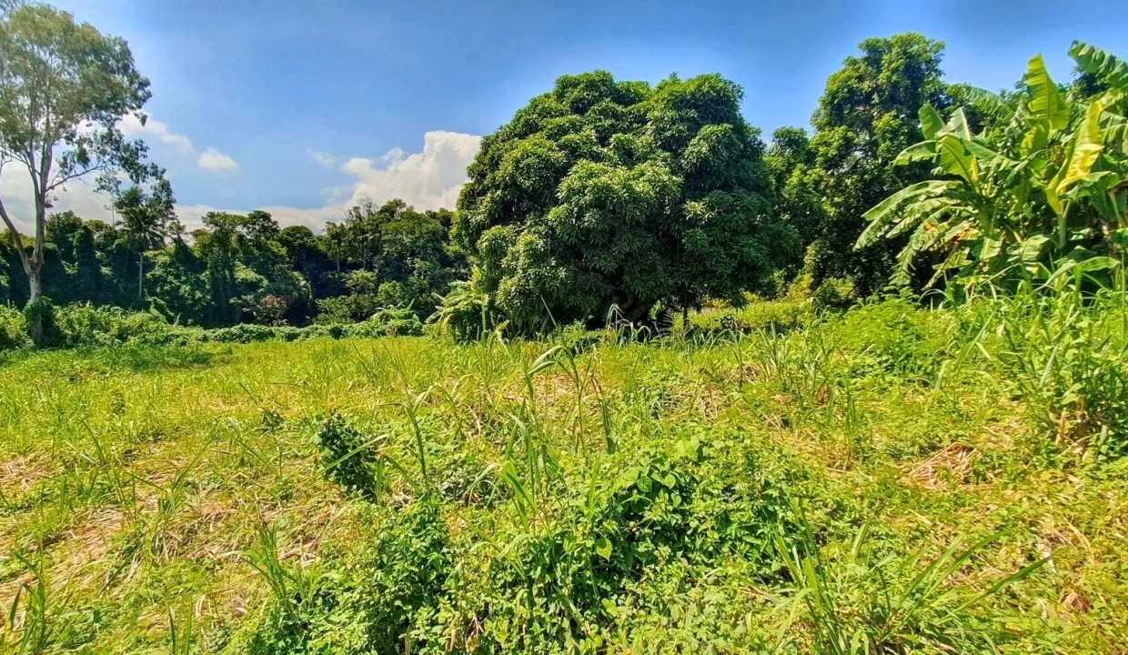 Land For Sale in Chantenay, Moka 2