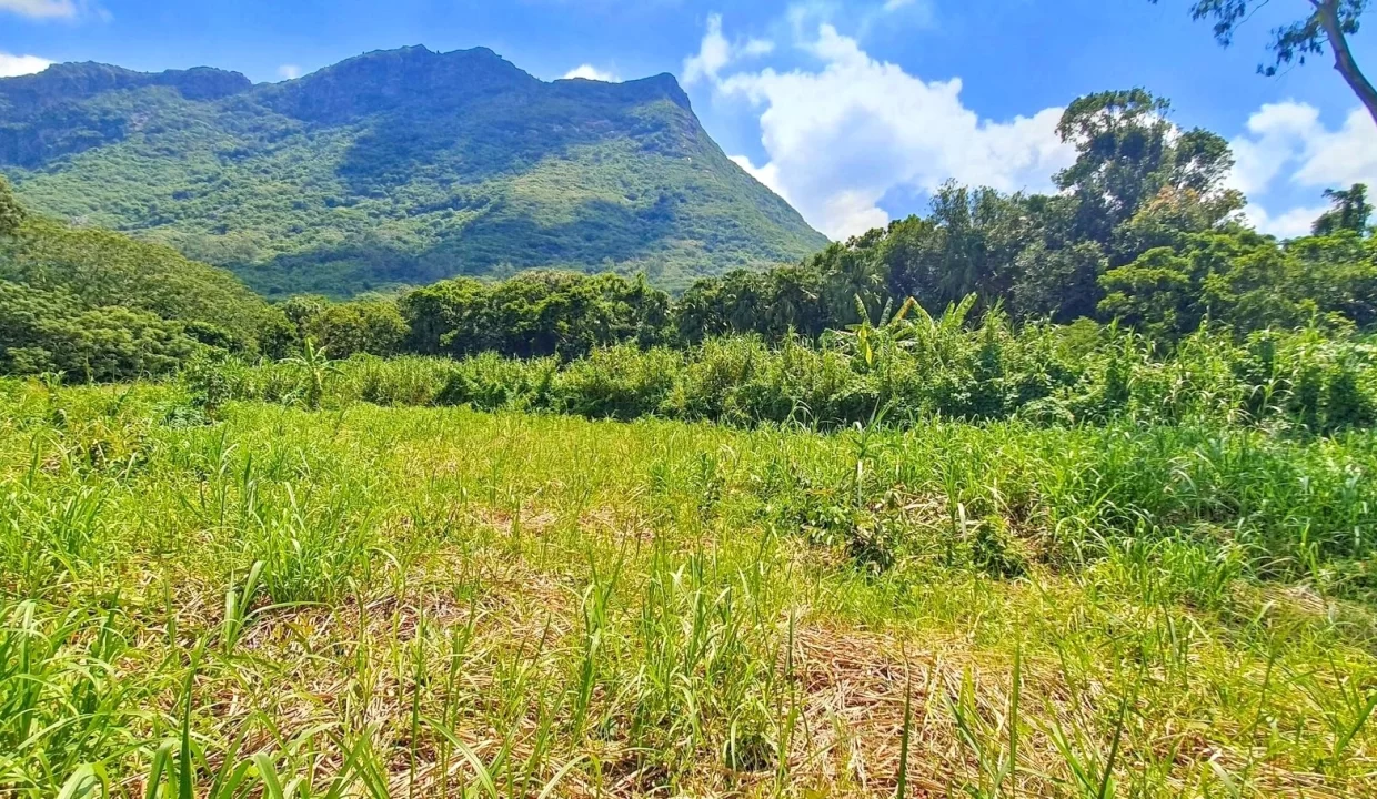 Land For Sale in Chantenay, Moka 5