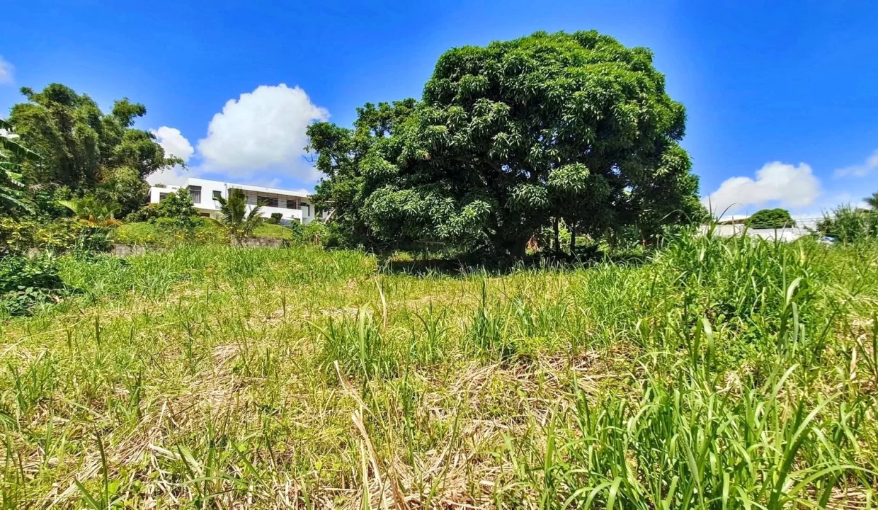 Land For Sale in Chantenay, Moka 6