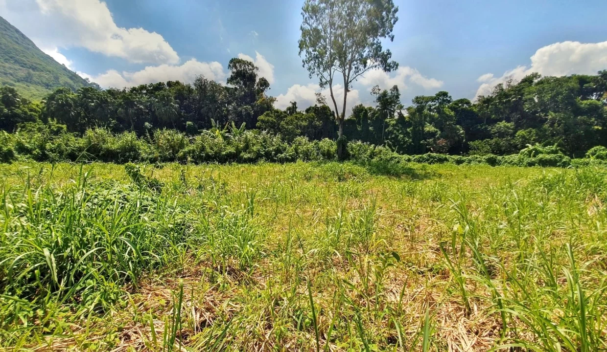 Land For Sale in Chantenay, Moka 7