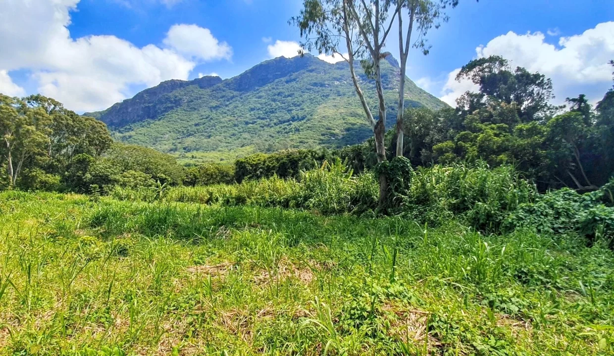 Land For Sale in Chantenay, Moka 8
