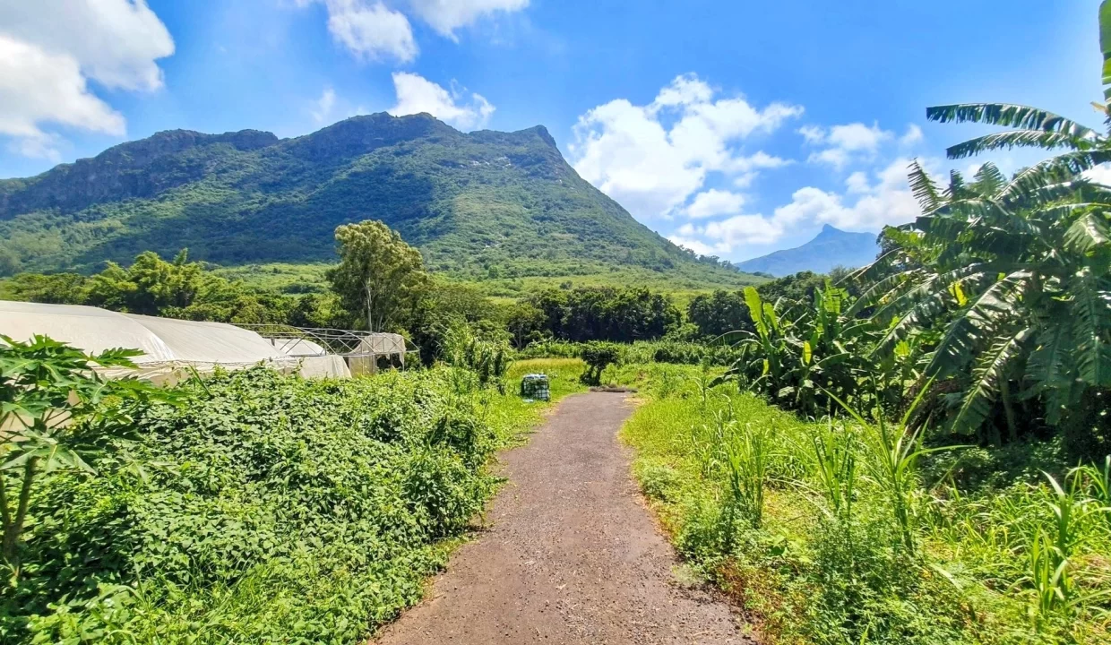 Land For Sale in Chantenay, Moka 9
