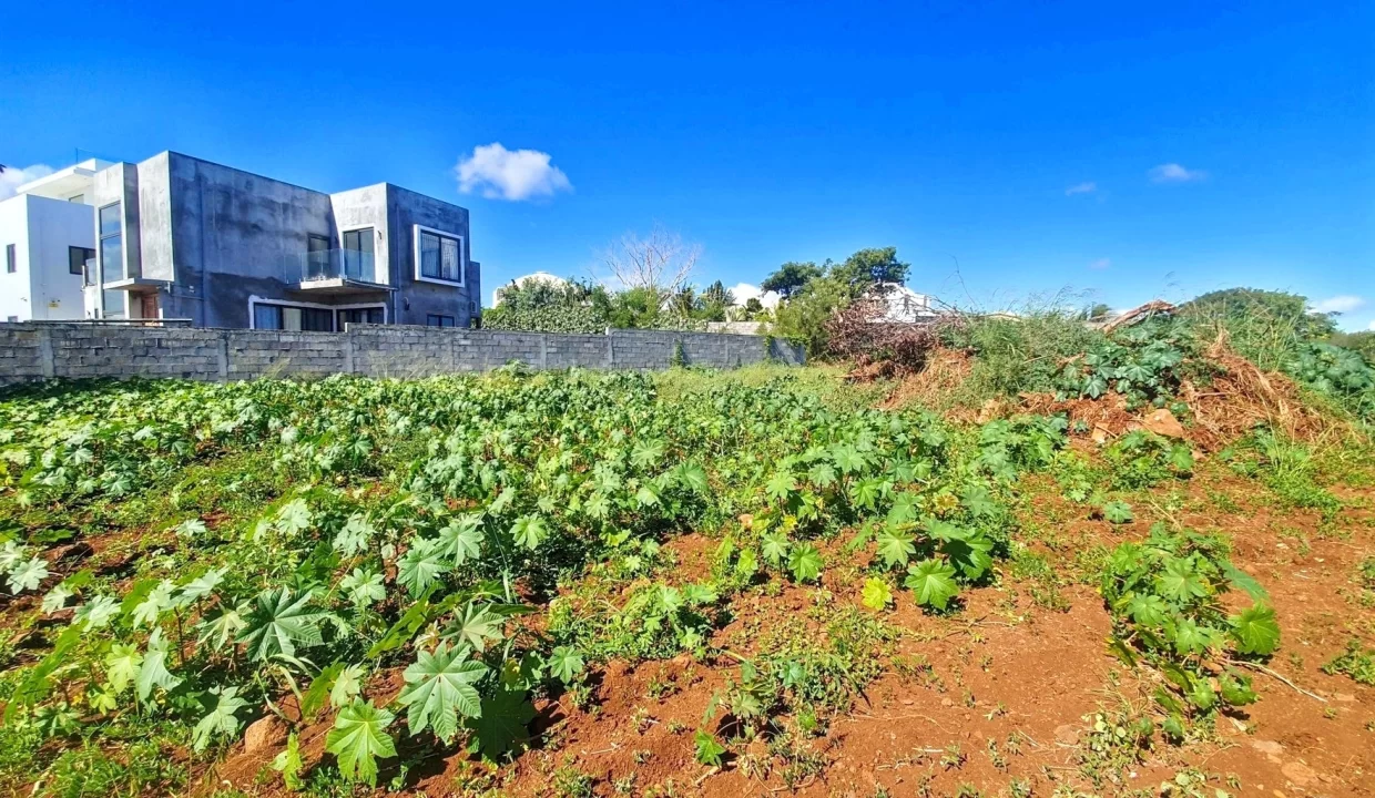 Land for Sale – Residence Liyana, Albion 1