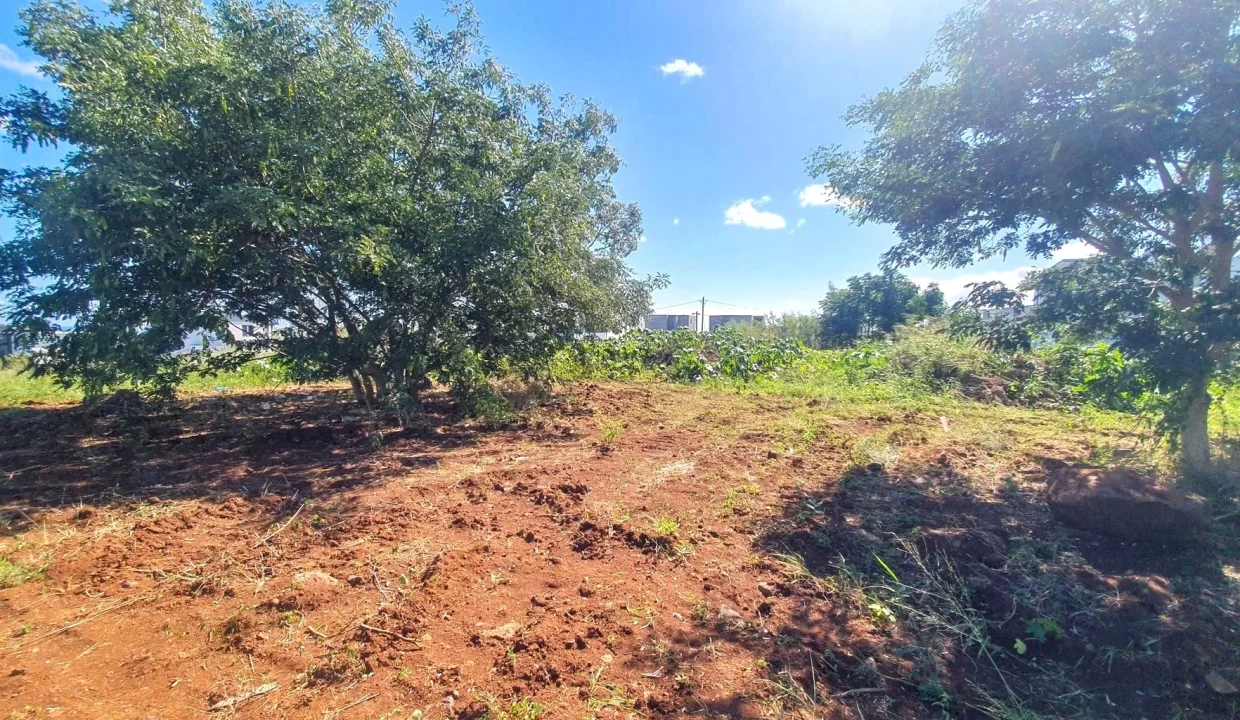 Land for Sale – Residence Liyana, Albion 11