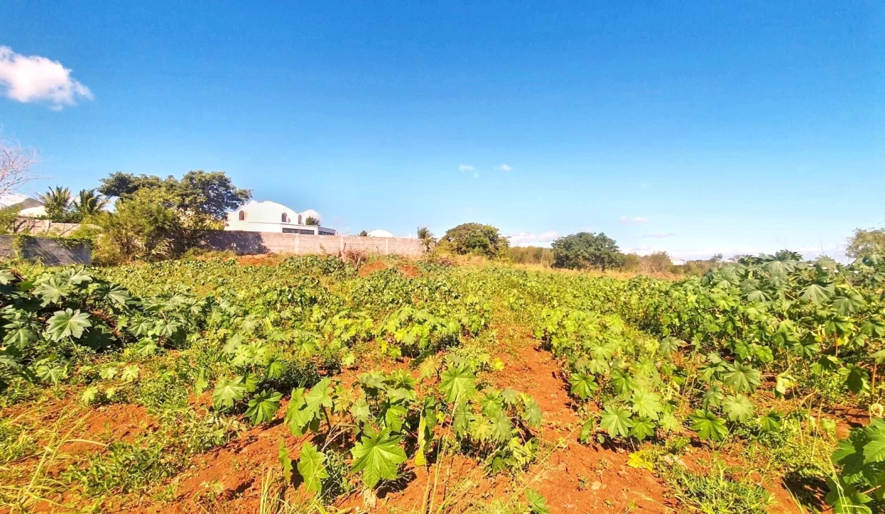 Land for Sale – Residence Liyana, Albion 2