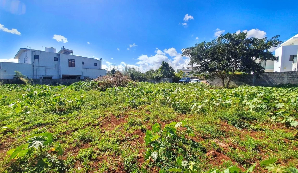 Land for Sale – Residence Liyana, Albion 3