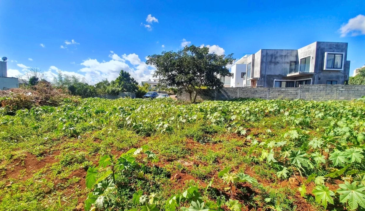 Land for Sale – Residence Liyana, Albion 6