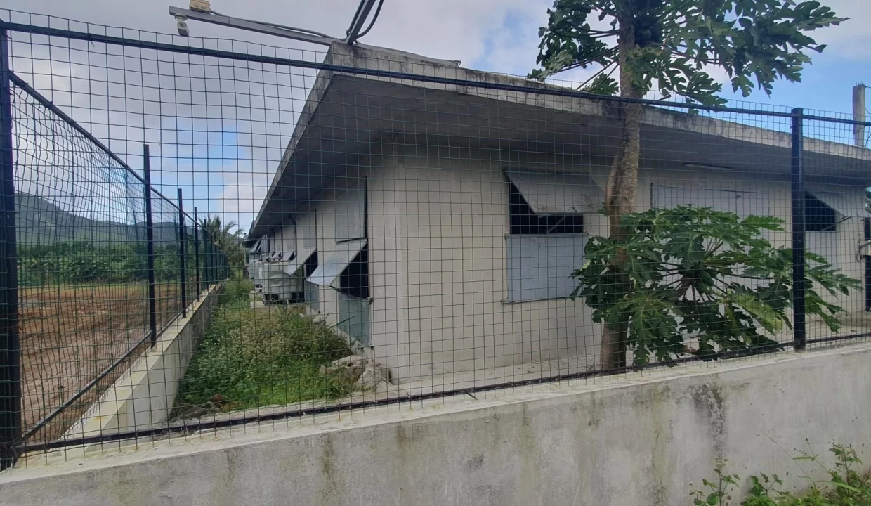 Fully Equipped Poultry Farm For Sale – La Martinière, Chamouny 1