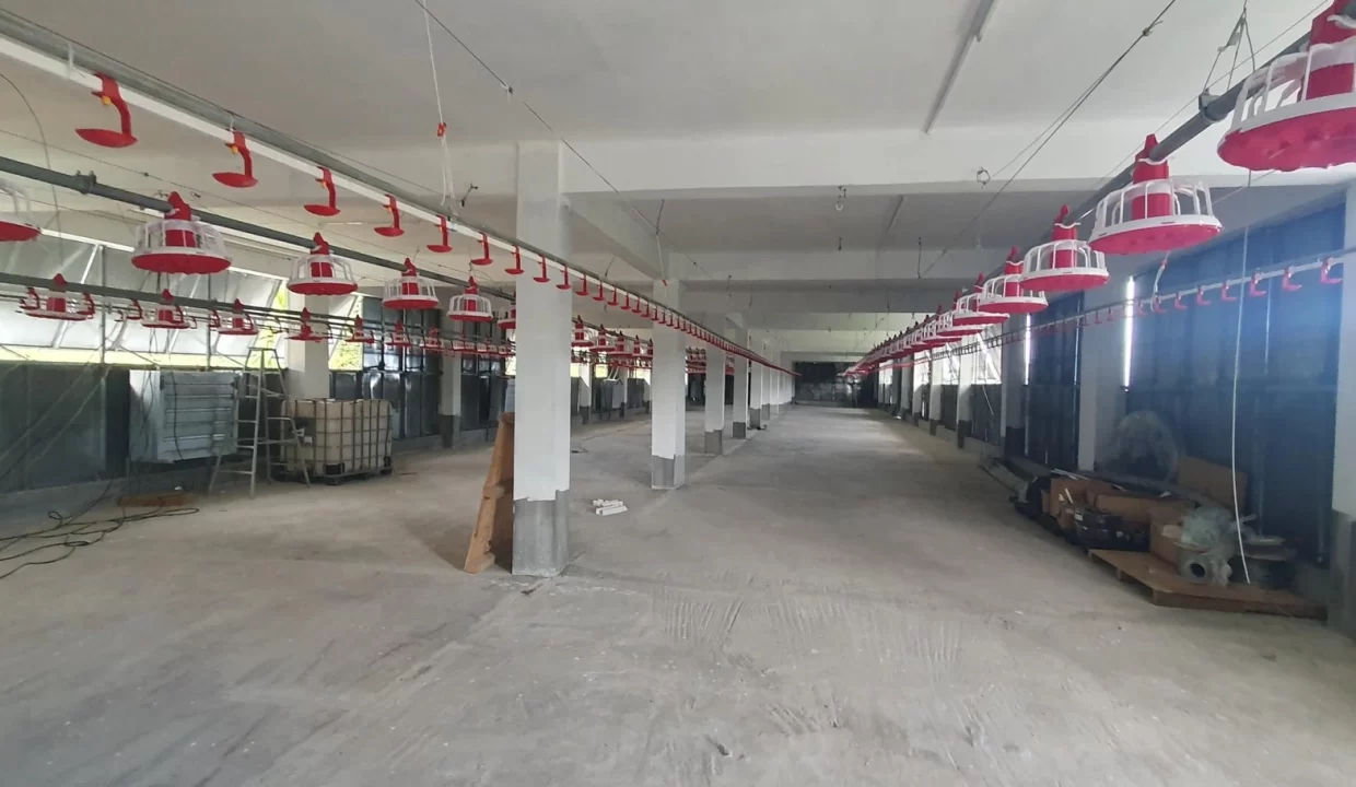 Fully Equipped Poultry Farm For Sale – La Martinière, Chamouny 11