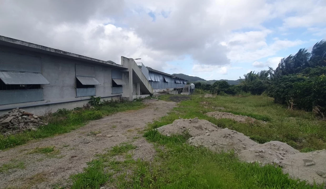 Fully Equipped Poultry Farm For Sale – La Martinière, Chamouny 13