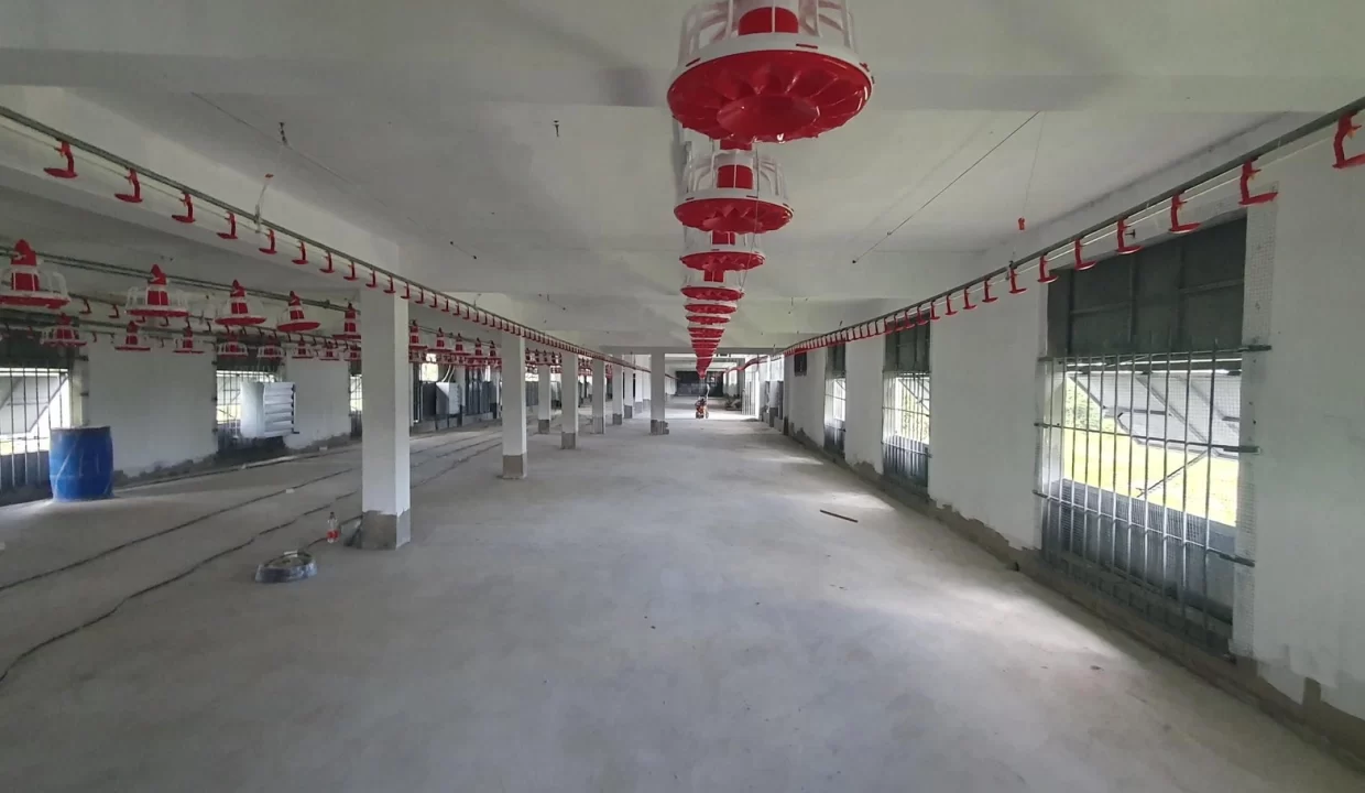 Fully Equipped Poultry Farm For Sale – La Martinière, Chamouny 14