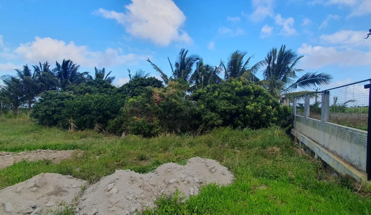 Fully Equipped Poultry Farm For Sale – La Martinière, Chamouny 5