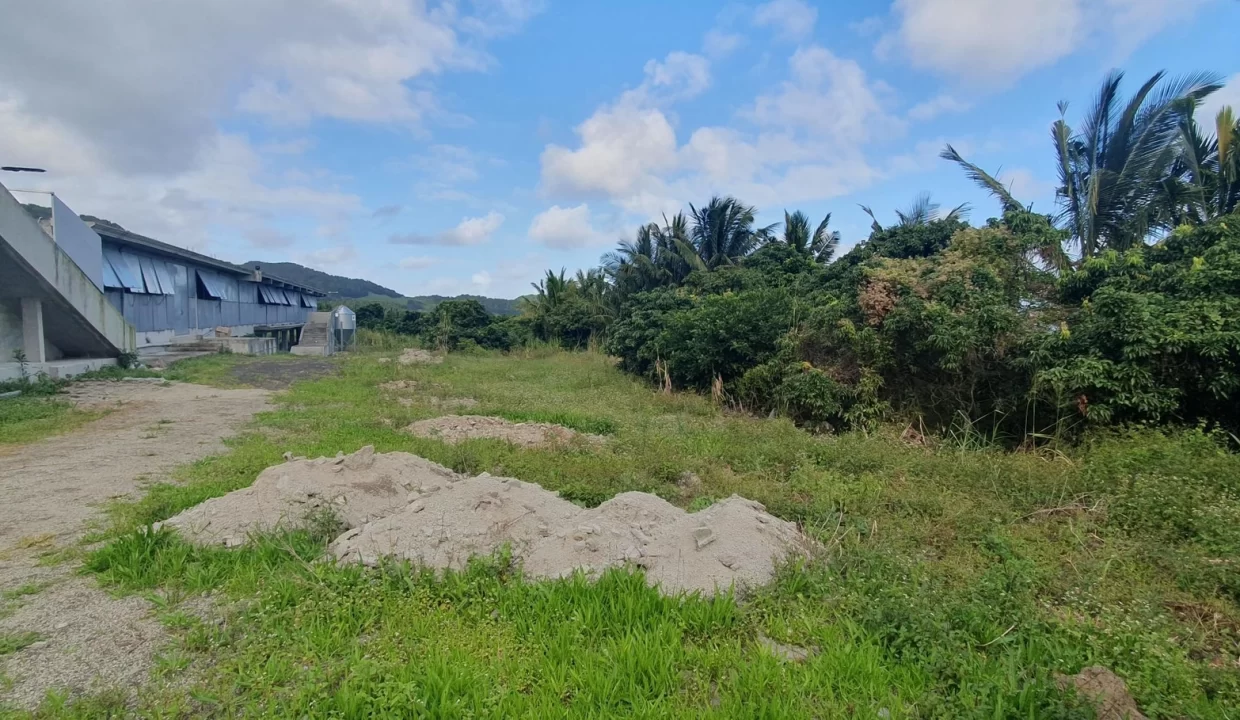 Fully Equipped Poultry Farm For Sale – La Martinière, Chamouny 6