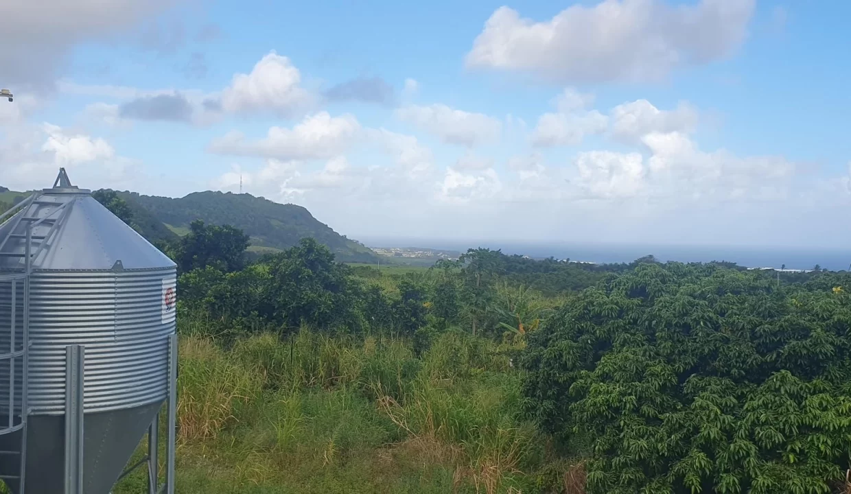 Fully Equipped Poultry Farm For Sale – La Martinière, Chamouny 8