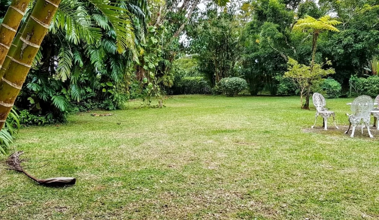 Large Land with Main House & Cottage for Sale - Curepipe 3