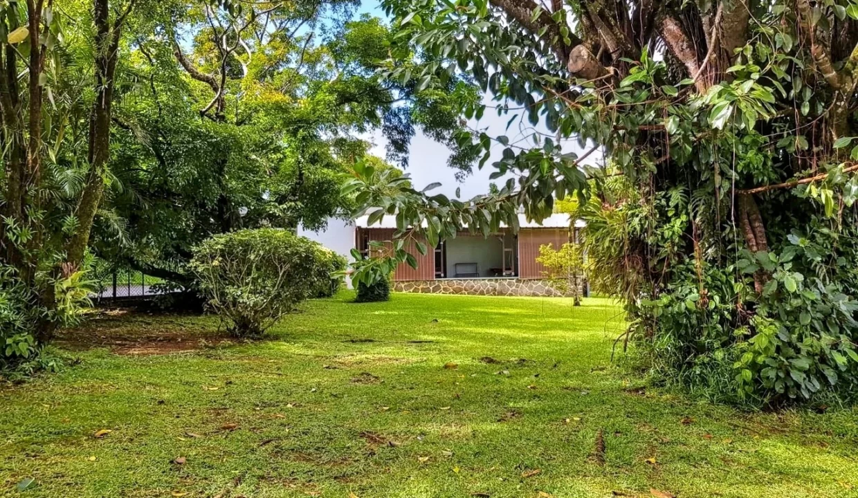 Large Land with Main House & Cottage for Sale - Curepipe 4