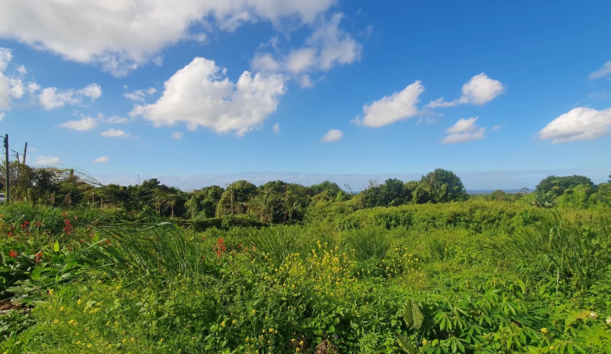 Exceptionnal Residential land for sale at La Salette Grand Baie 1