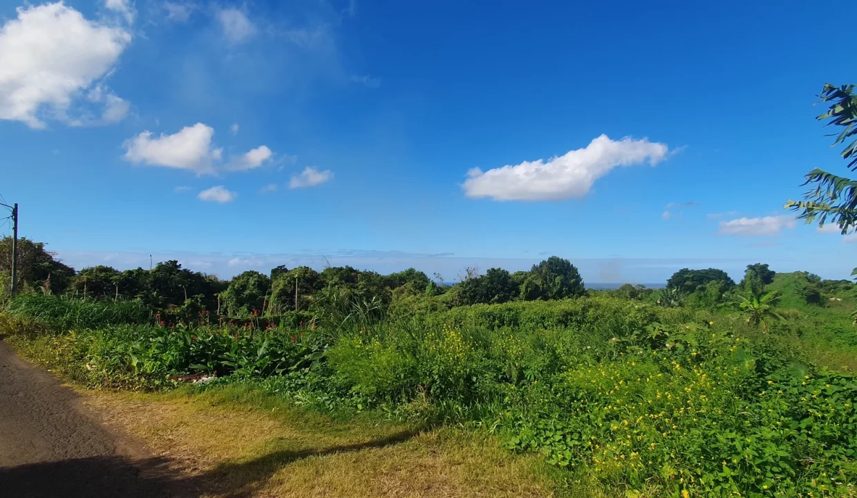 Exceptionnal Residential land for sale at La Salette Grand Baie 3