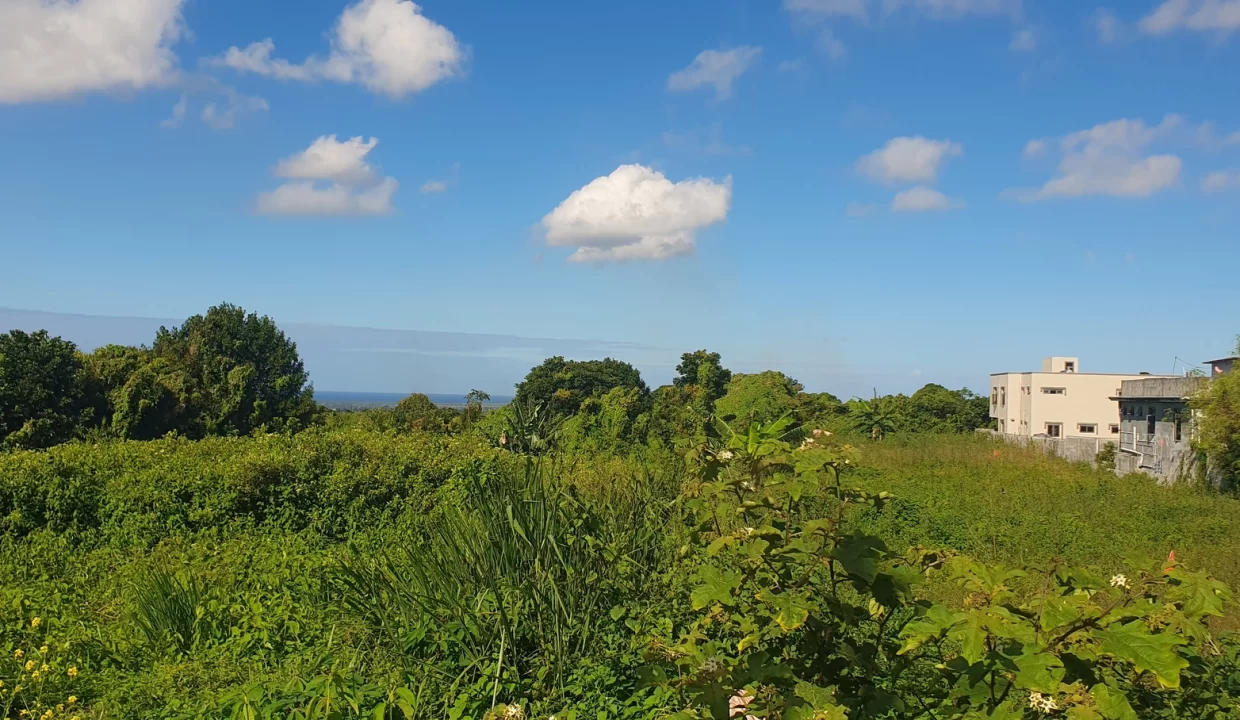 Exceptionnal Residential land for sale at La Salette Grand Baie 4