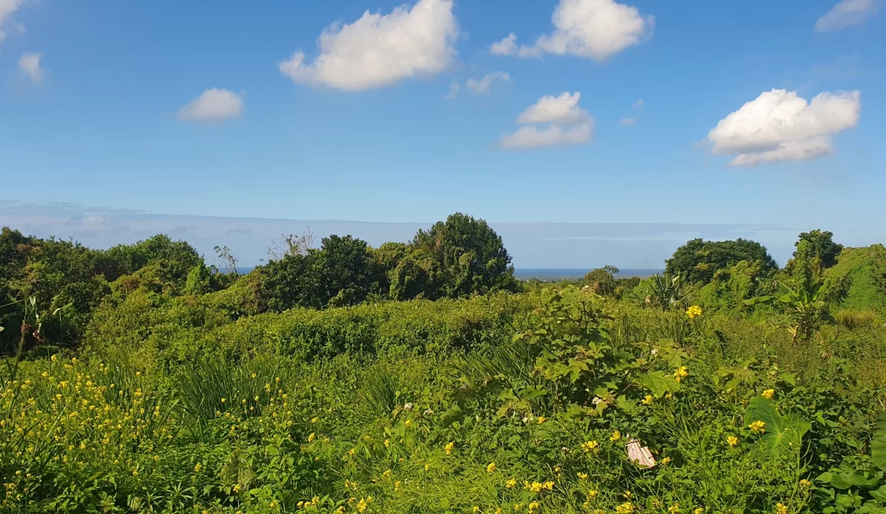 Exceptionnal Residential land for sale at La Salette Grand Baie 5