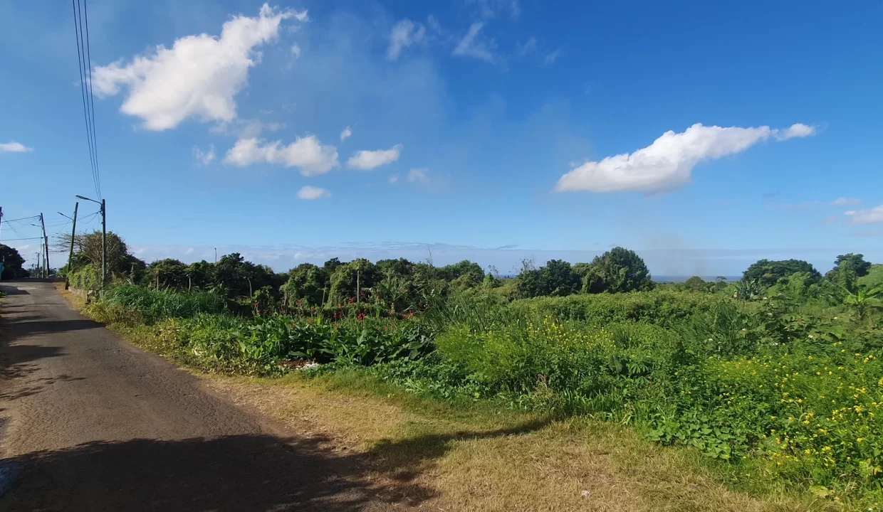 Exceptionnal Residential land for sale at La Salette Grand Baie 6