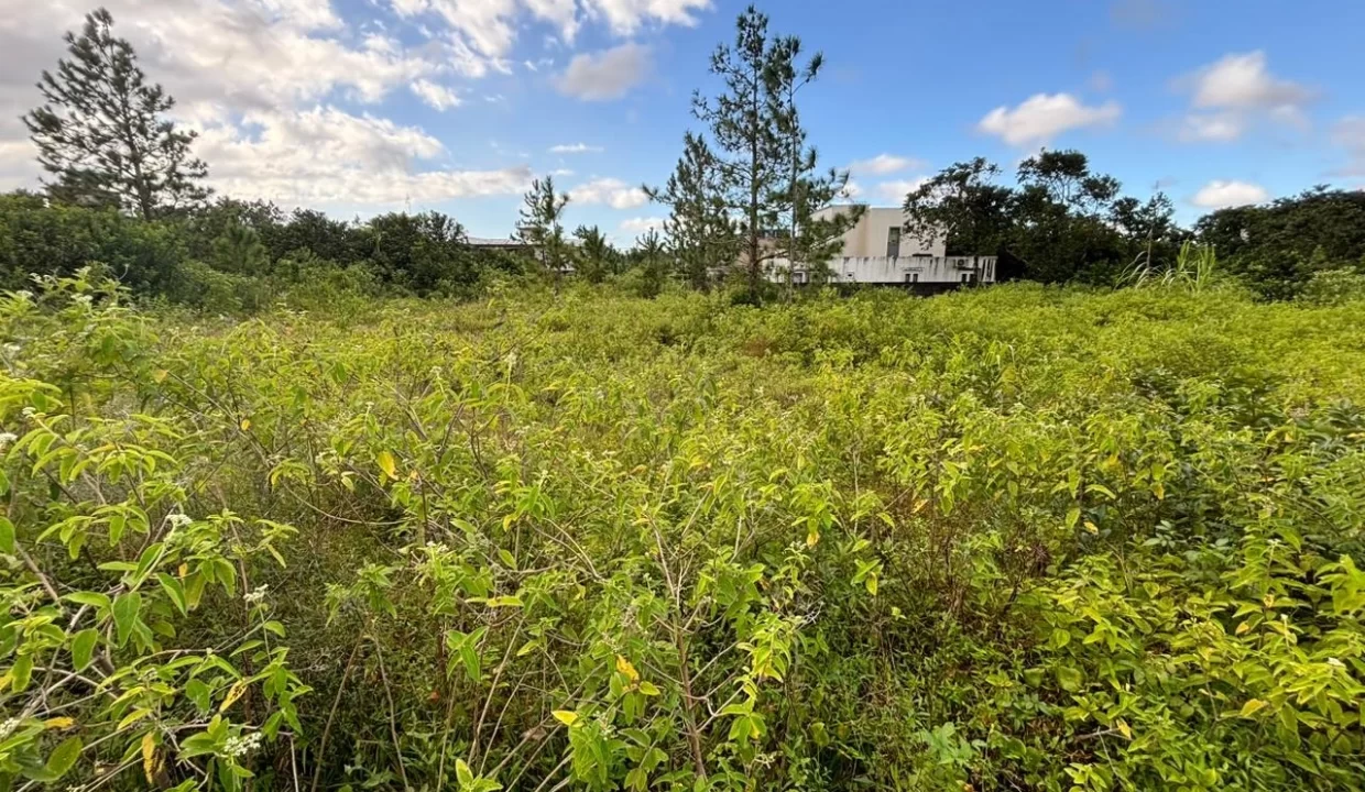 Residential Land for Sale – Morcellement Greenview, Plaines Magnien 2