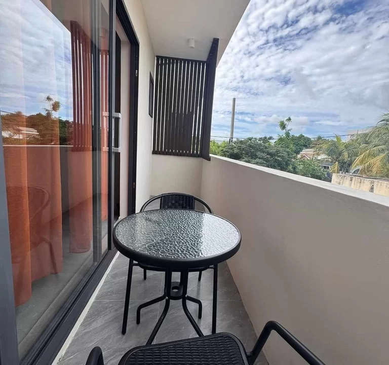 Brand New Luxury 4-Bedroom Duplex with Private Pool & Rooftop Terrace For Rent in Albion 16
