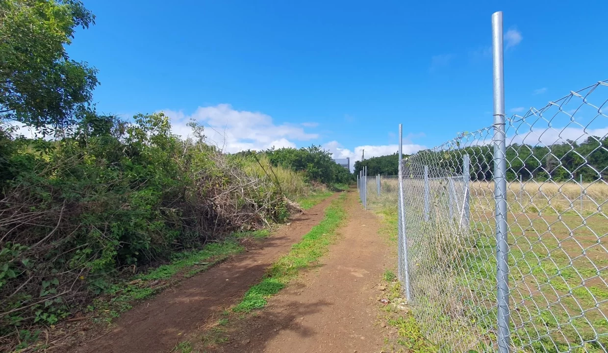 Freehold Residential Land For Sale – Sodnac 1