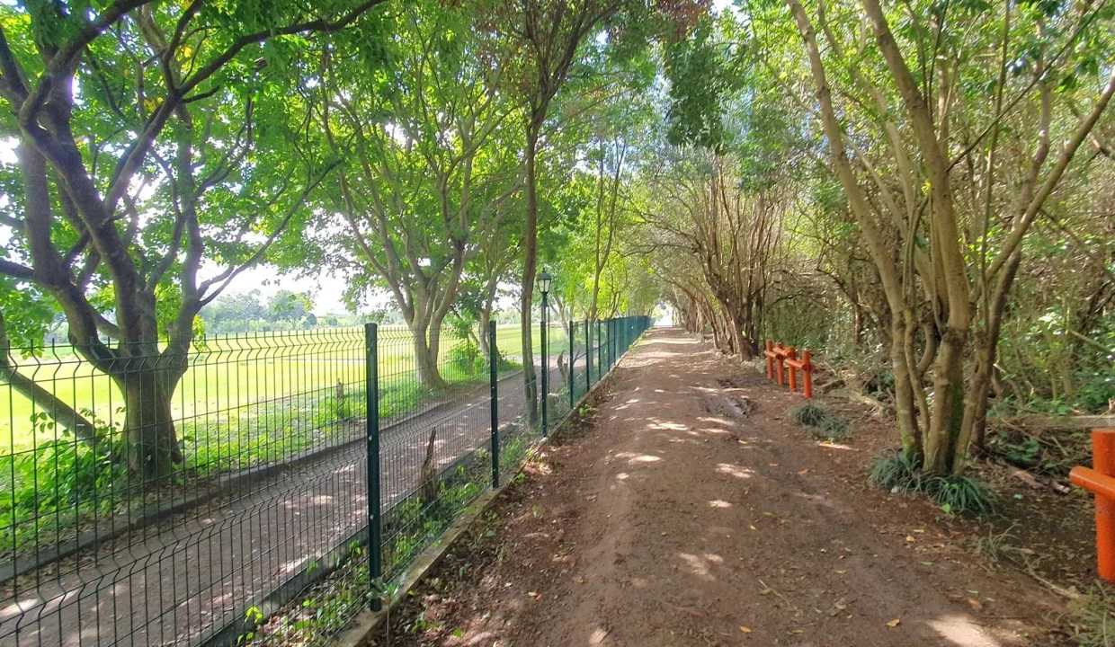 Freehold Residential Land For Sale – Sodnac 10