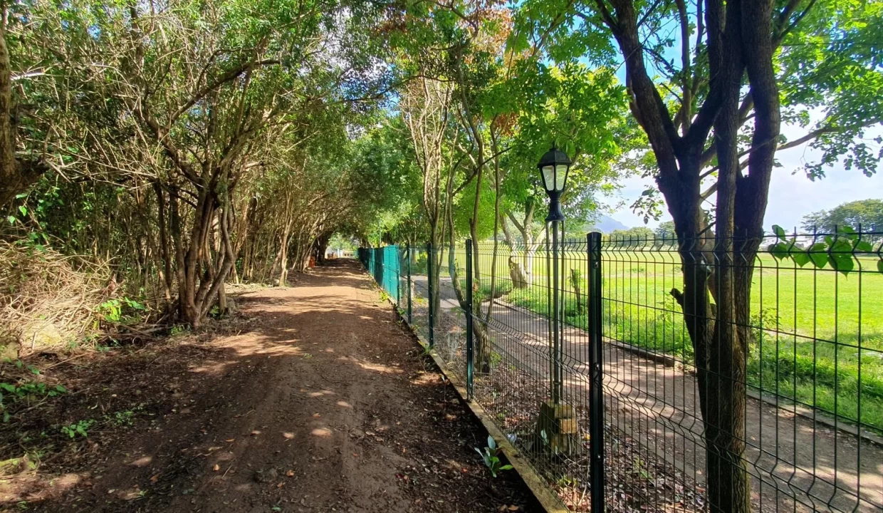 Freehold Residential Land For Sale – Sodnac 11