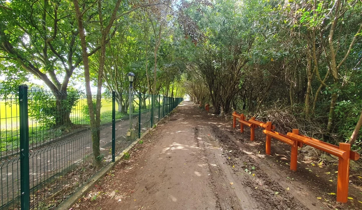 Freehold Residential Land For Sale – Sodnac 2